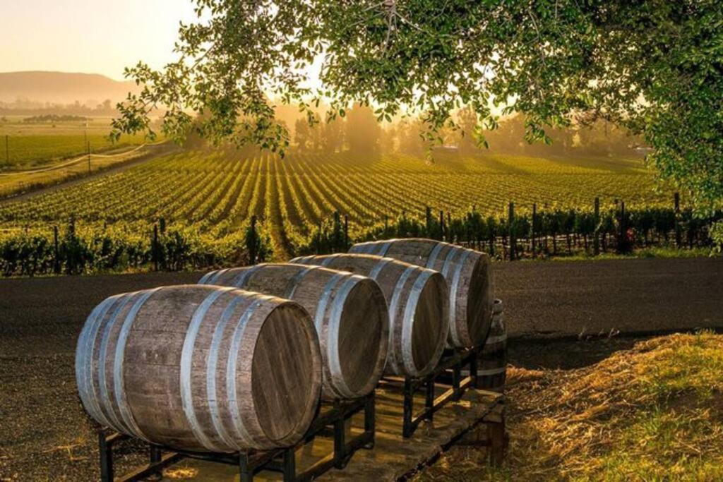The Container Retreat @ 290 Wine Trail #9 Get Away Today! Hye Extérieur photo